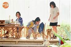 向往的生活4全集免费策驰